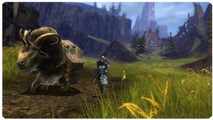 Guild Wars 2_sch