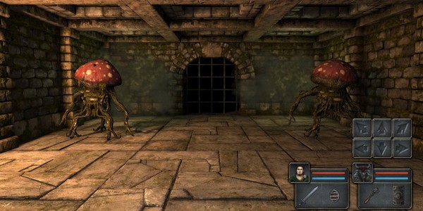 Legend of Grimrock скриншоты геймплея